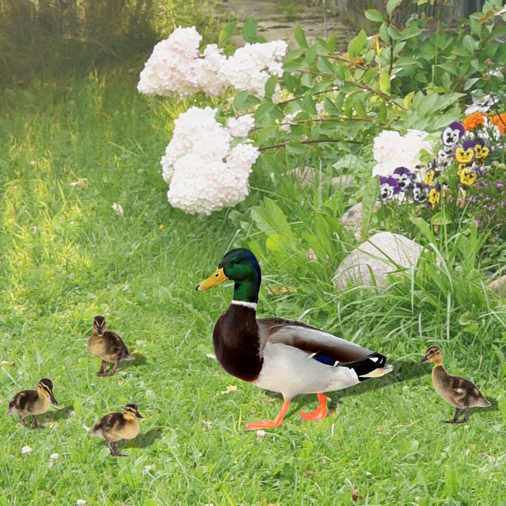 

6 Pcs Garden Decoration Insert Acrylic Duck Stake Outdoor Decorations Hen Yard Ground Inserted Lawn Accessory Ornament Signs