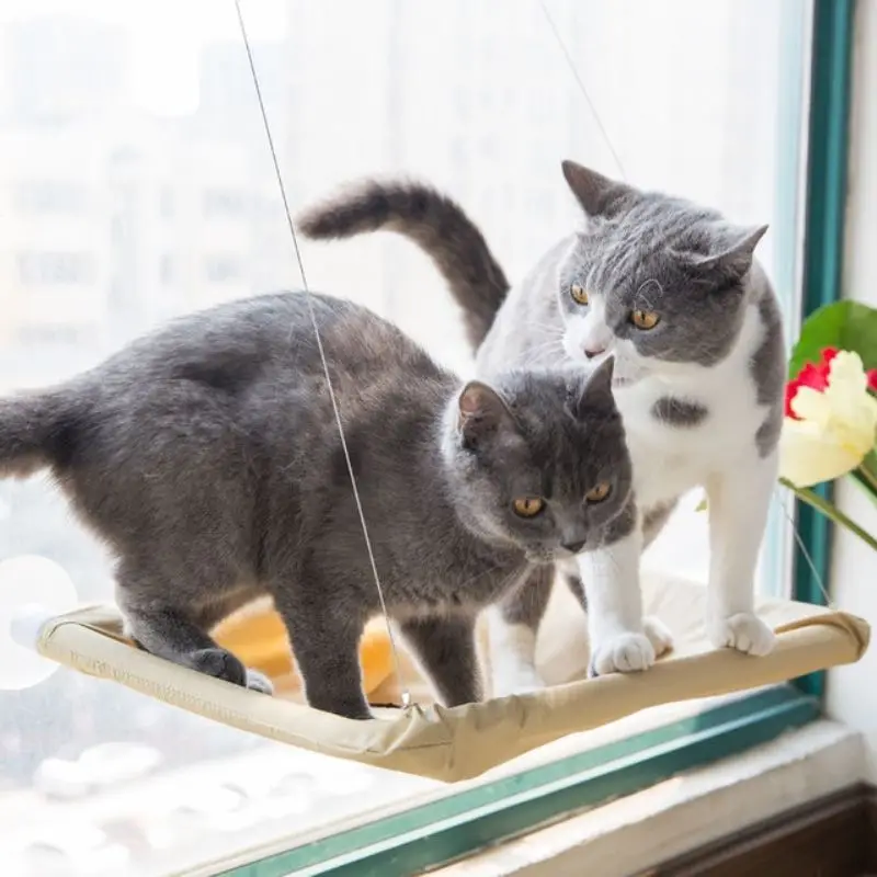 

Cat Hammock Hanging Nest Suction Cup Swing Sunbathing Cat Choice Hammock Windowsill Glass Hanging Bed Cat Supplies