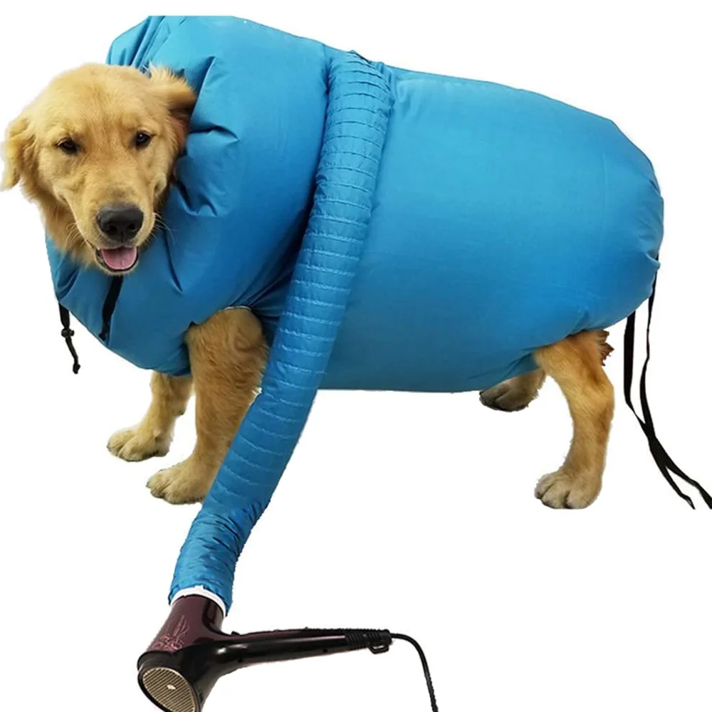 Can You Dry A Dog With A Hair Dryer