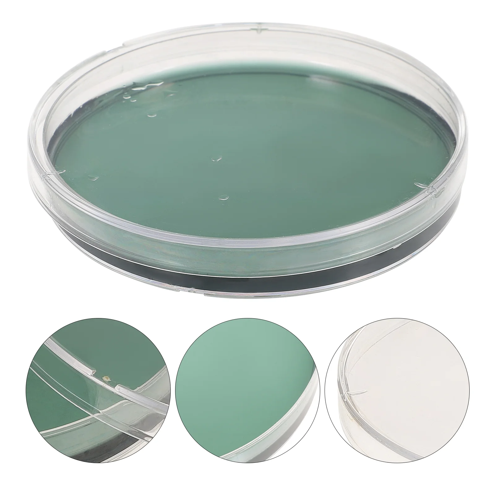 

Petri Agar Dish Dishes Plates Culture Laboratory Plate Tissue Cell Science Kit Supplies Experiment Chemistry Prepoured Container
