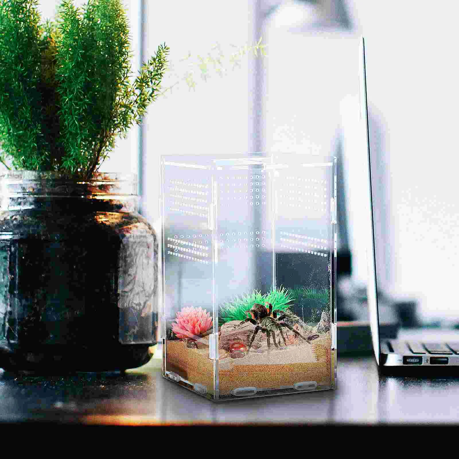 Ящик для кормления терариум рептилий вертикальный паук прозрачные контейнеры