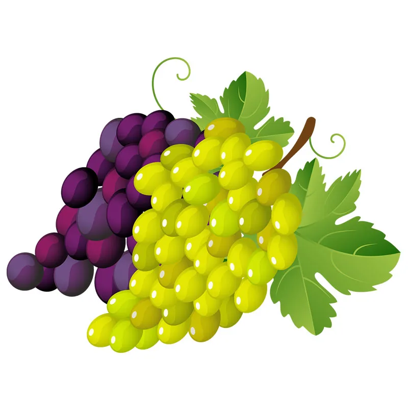 

Настенные наклейки Т409 с фруктами