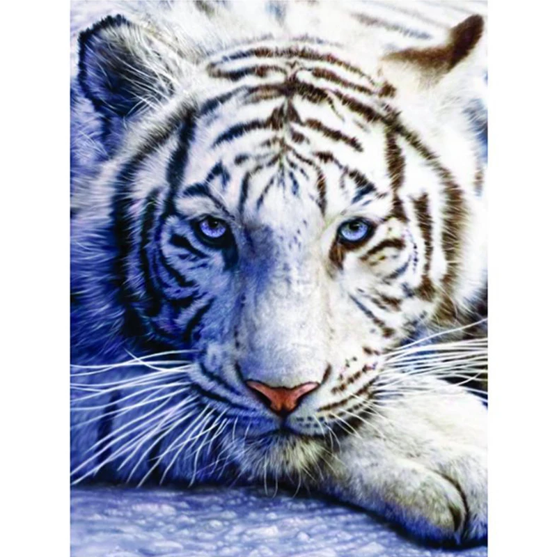 

Набор для алмазной вышивки «белый тигр Стразы»