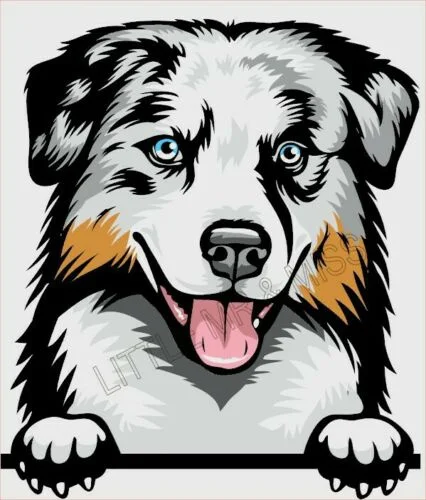 

For Aussie Shepherd Peeking Dog Breed Colour Window Wall Laptop Sticker w/prf