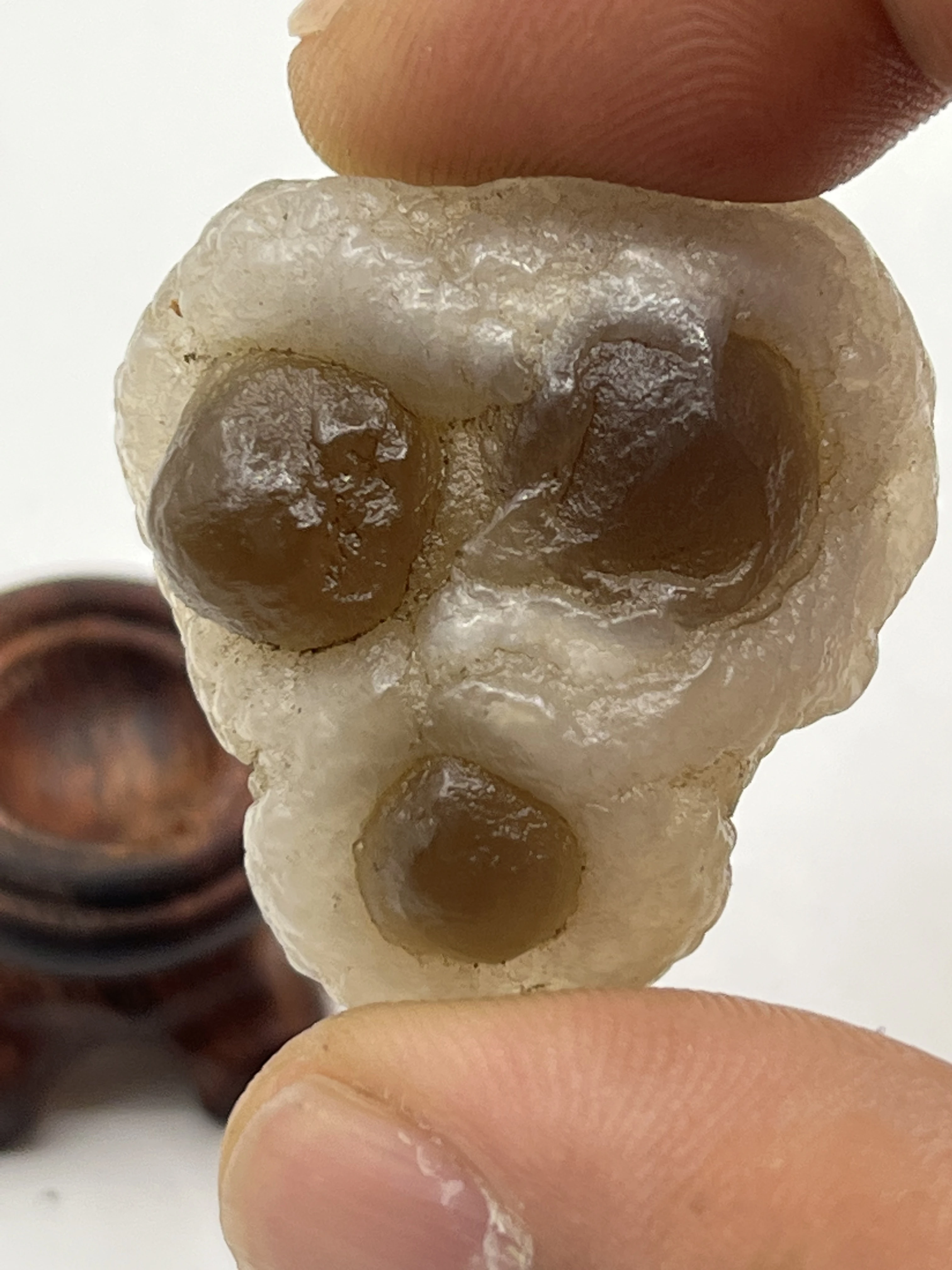 1Pcs Natural Crystal Agate Panda Agate Extremely Precious Rare Raw Stone As Cute As The Head Of A Puppy Dog Three Eyes Agate