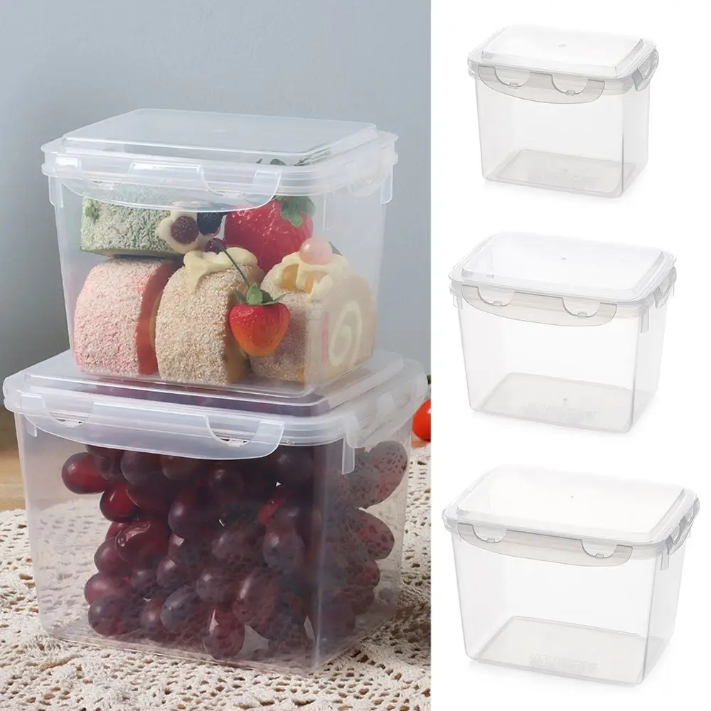 

Kids School Dinnerware Camping Cookware Outdoor Plastic Picnic Snack Prep Lunch Boxes Bento Box Meal Storage Container