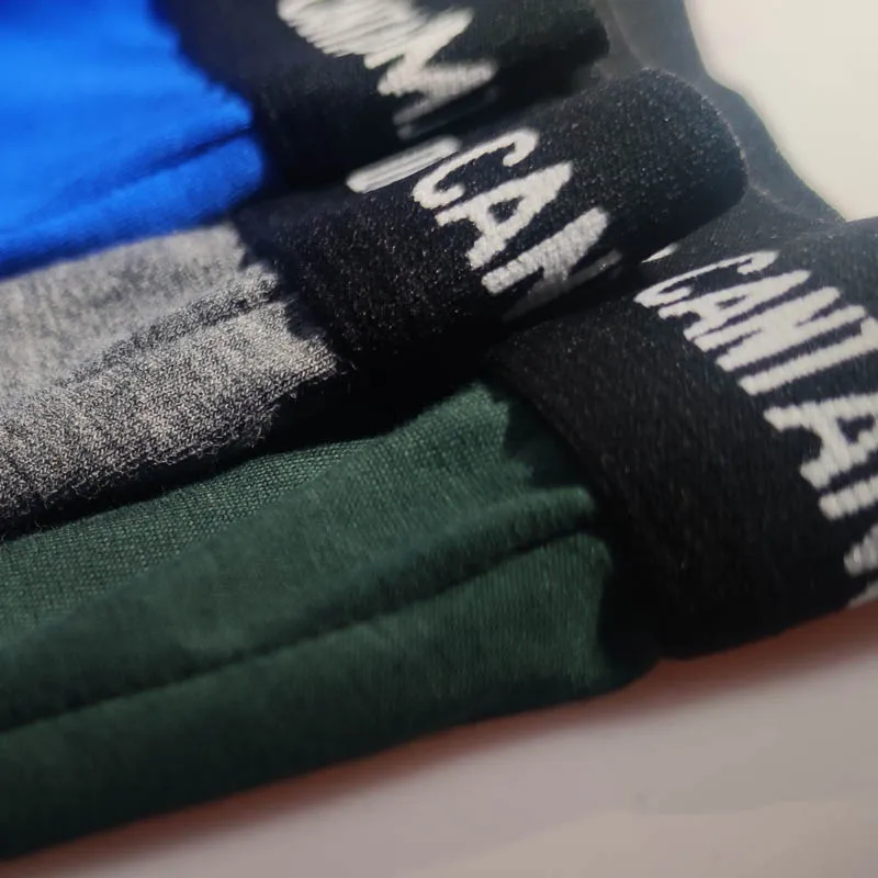 CANTANGMIN Male panties cotton long boxers panties comfortable breathable men's underwear trunk brand shorts man Underpanties