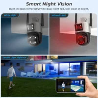 Ip-Камера с двумя объективами#5