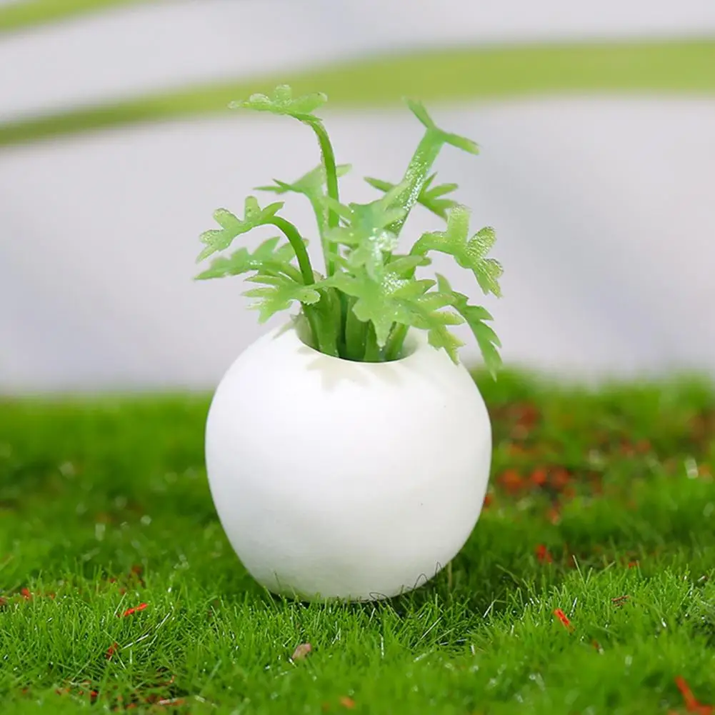 

Миниатюрная модель, долговечная миниатюрная зелень, хороший прочный фотореквизит, прочная Миниатюрная модель растений-суккулентов