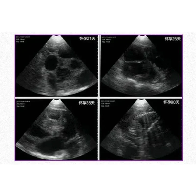 Беспроводной ультразвуковой сканер для животных