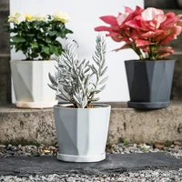 3pcs office decor bottom tray home plant container plant pot planter succulent box flower pots