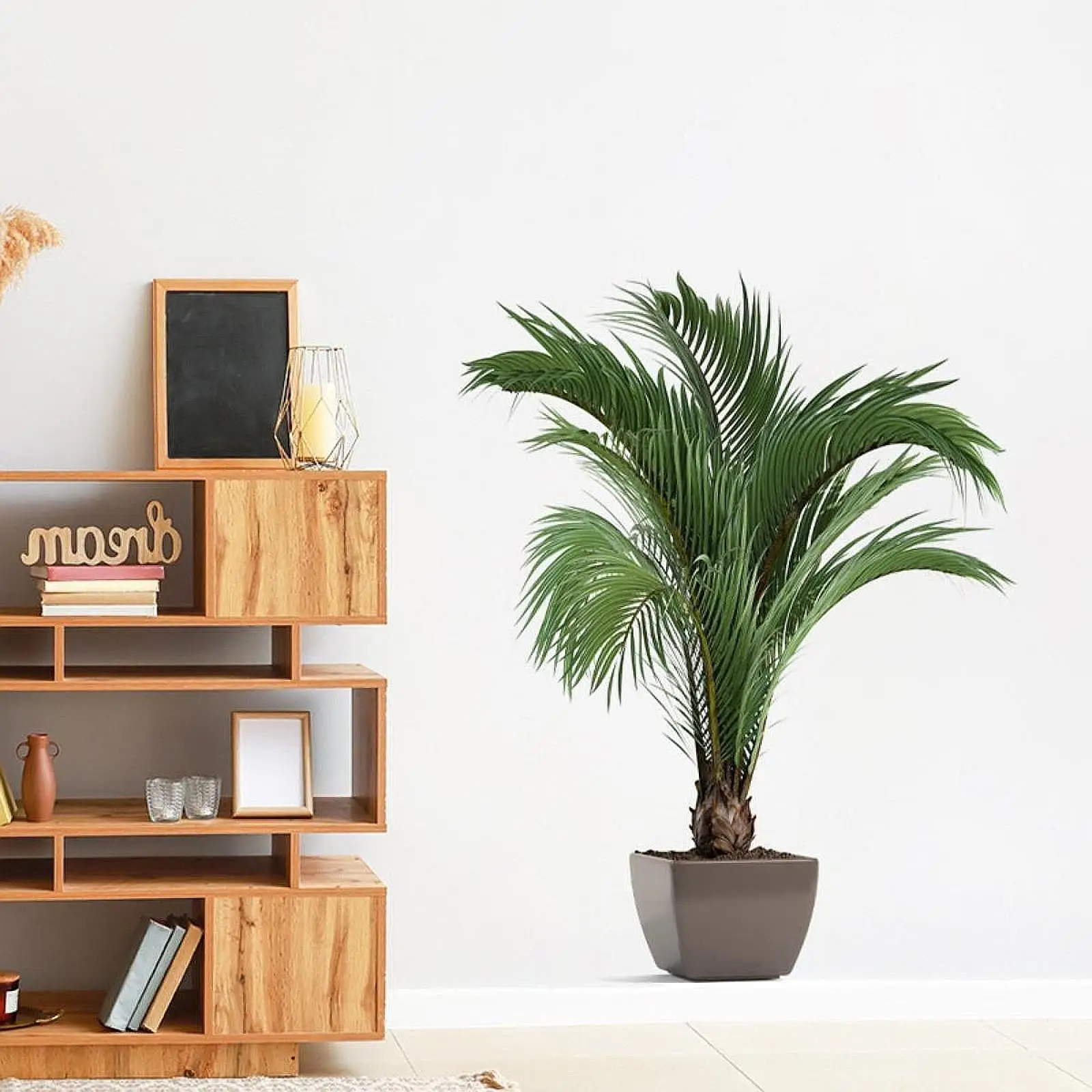 3D наклейки на стену с зелеными растениями обои для коридора классная комната