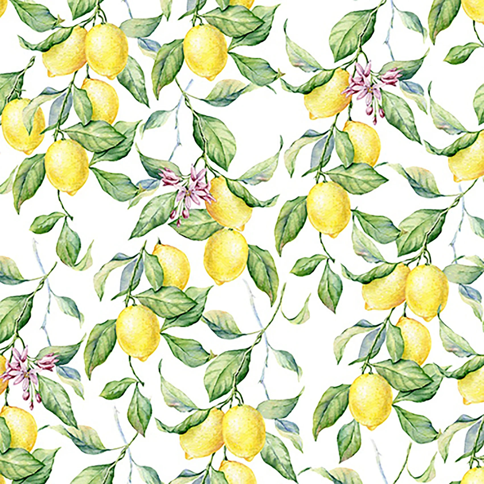 

Boho Tropical Fruit Orange Apricot Flower Leaf Colorful Beautiful Floral Shower Curtain Set With 12 Hooks Waterproof Polyester