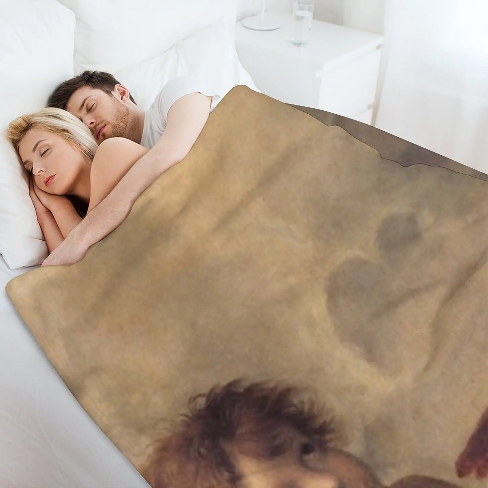 Новинка THE SISTINE MADONNA (детали) - RAPHAEL Плед Хэллоуин Многоцелевые роскошные пледы