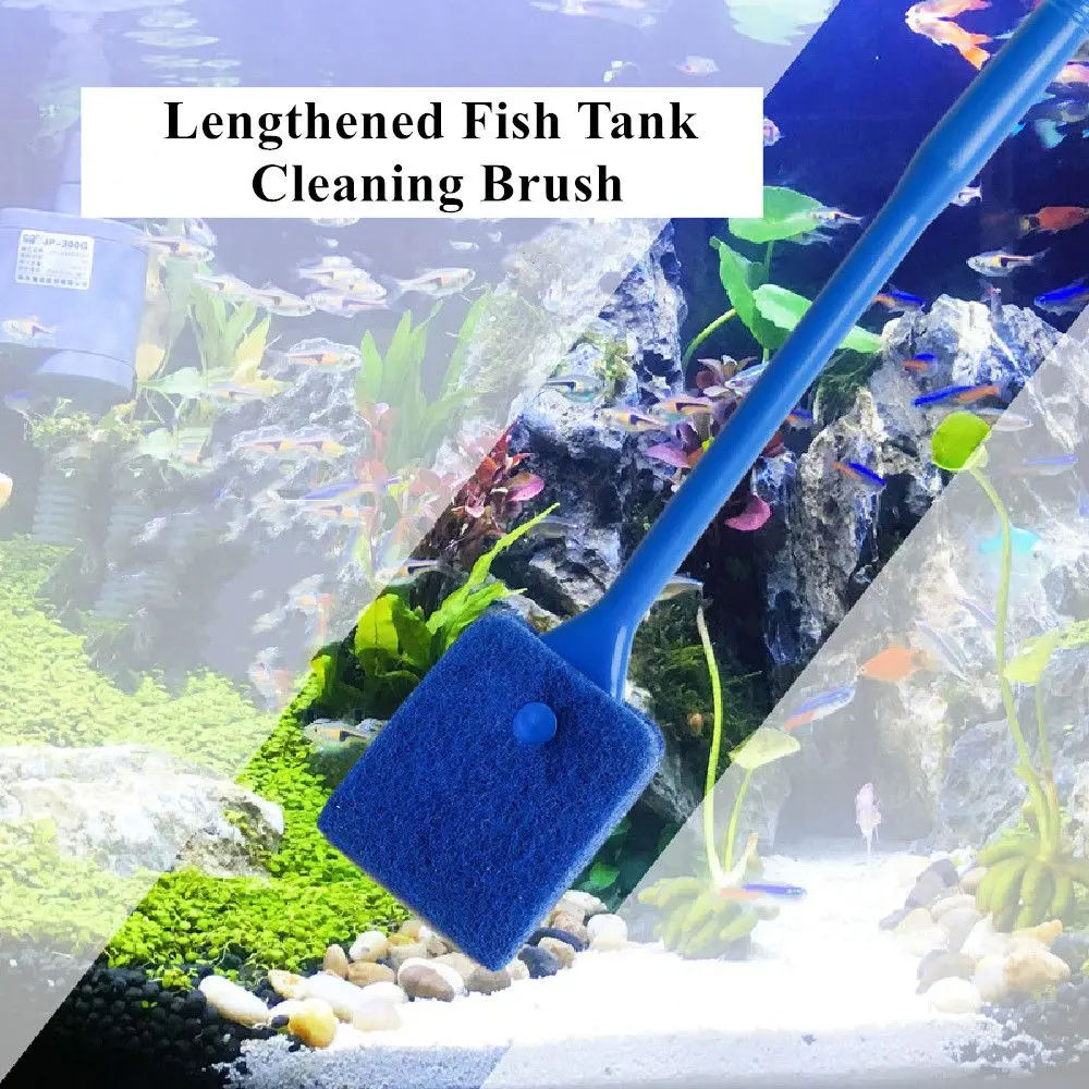 

Equipment Fish Tank Cleaning Brush Aquarium Cleaning Brush Fish Tank Brush Fish Tank Cleaning Brush With Long Handle