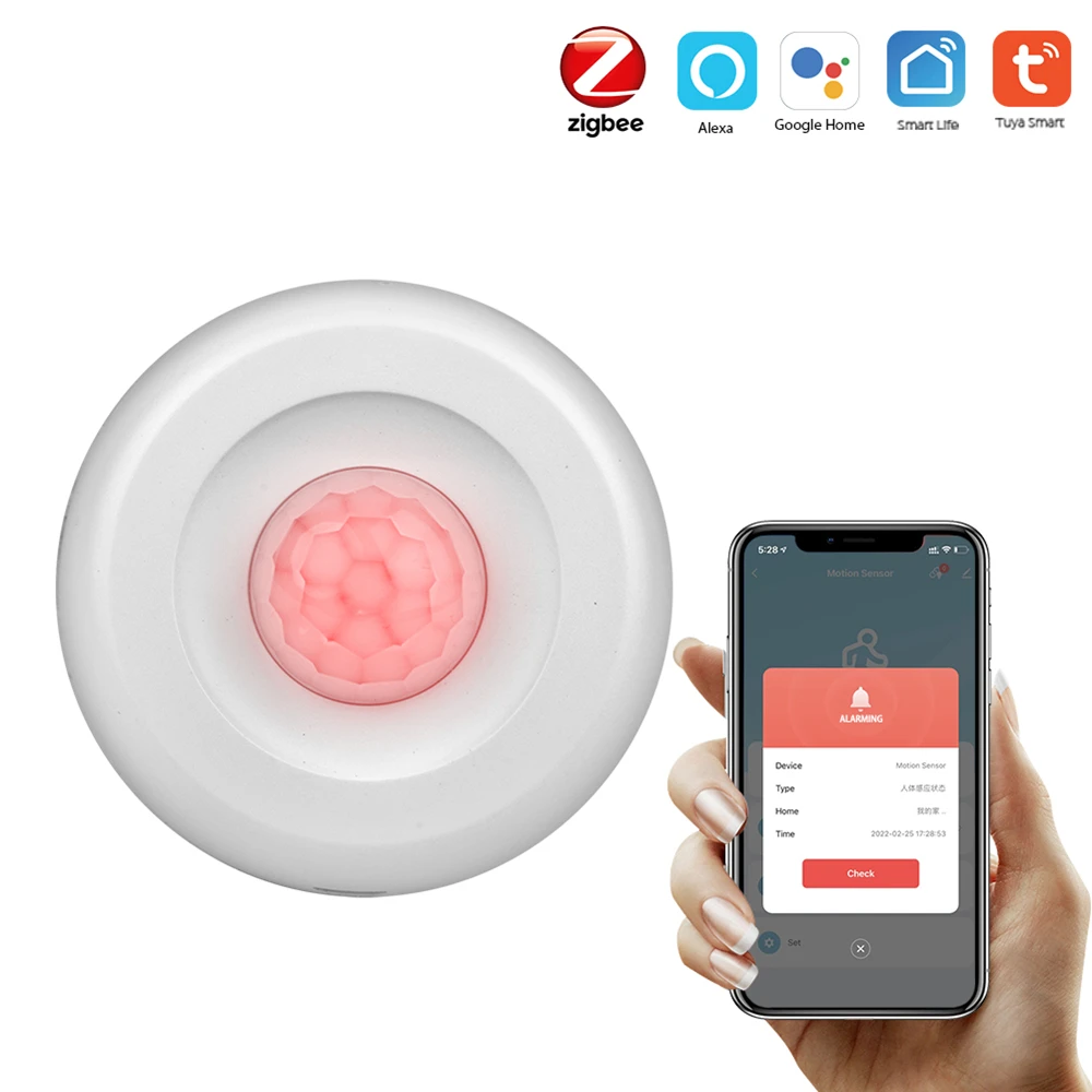 Human Body Movement Detector