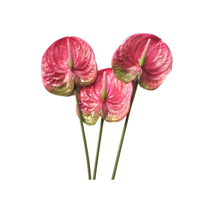 

3 Pcs 27Inch Artificial Anthurium Flowers Bouquet And Green Leaf Wedding Decoration (Pink)