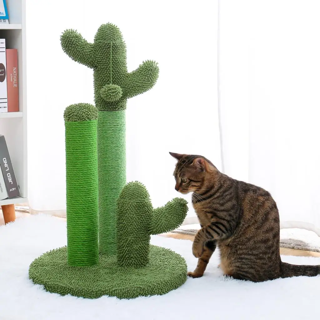 

Adequate inventory Cactus Cat Scratching Post with Sisal Rope Cat Scratcher Cactus for Young and Adult Cats climbing frame Toy