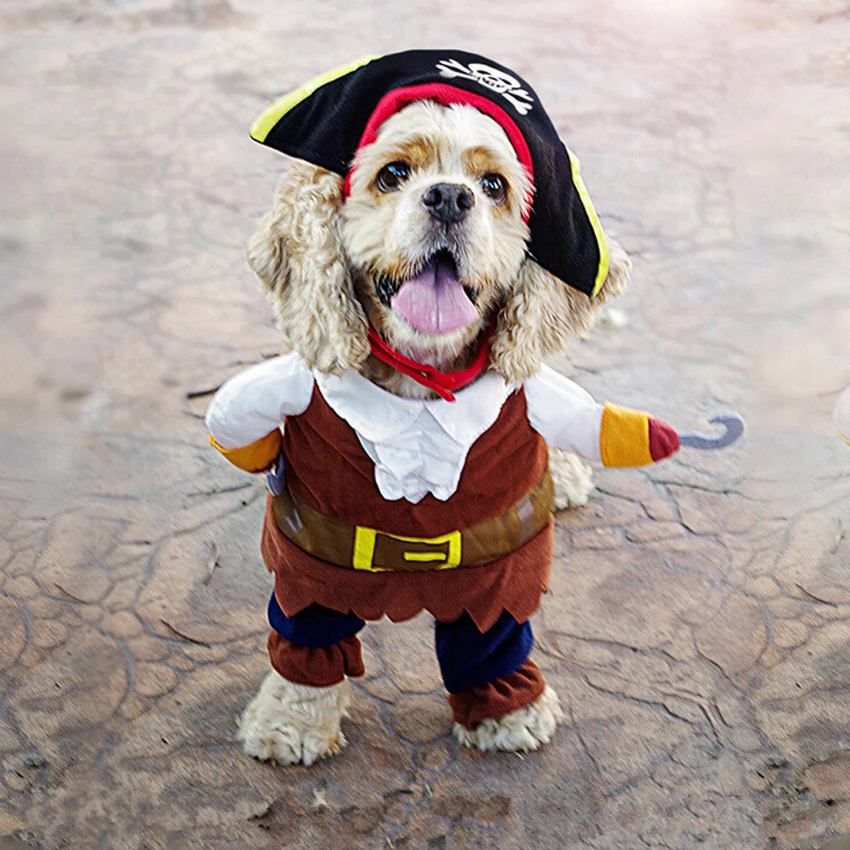 

Pet Cloth Set Funny Dog Size Clothes Transfiguration Dog Clothes Transformed Clothes Cosplay Costume with