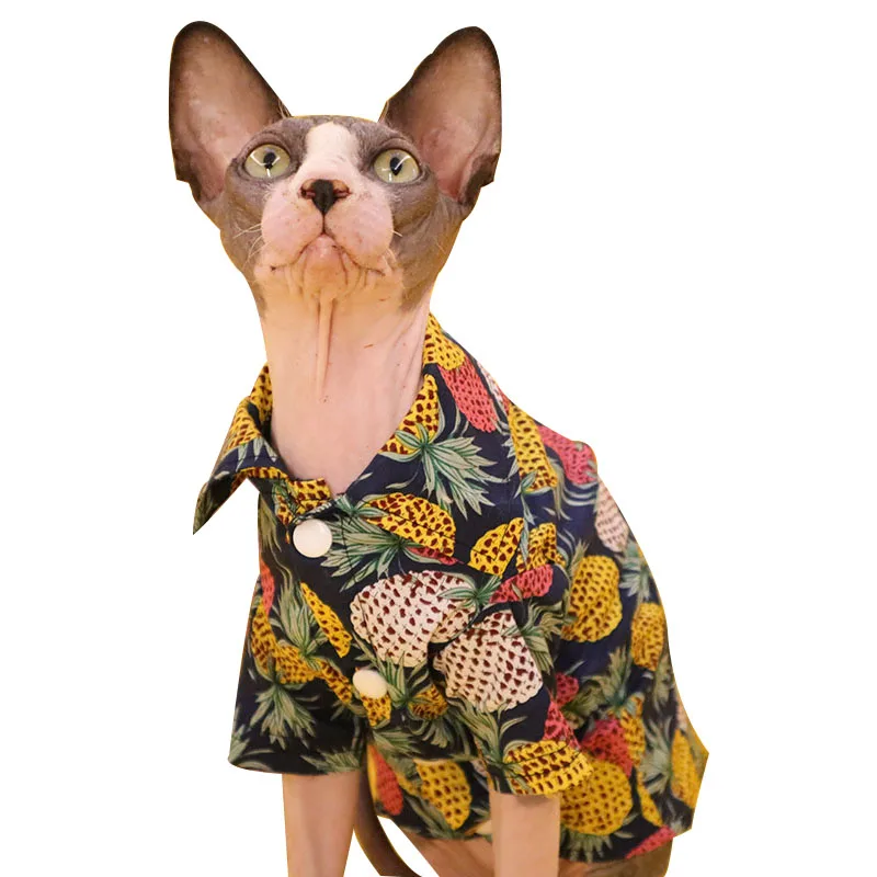 

Pineapple Clothes for Sphinx Hairless Cat Devon Rex Costume Konis Clothes British Short Anti- Hair Loss Kitty Sphynx Cat Costume