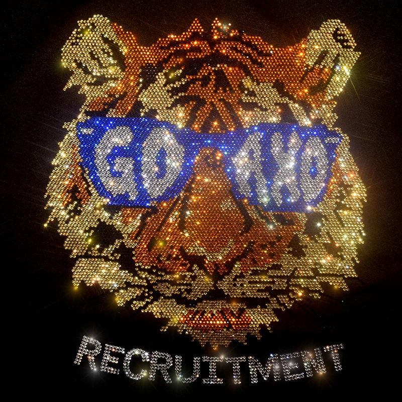 Лидер продаж искусственная голова тигра рисунок сделай сам одежда футболка