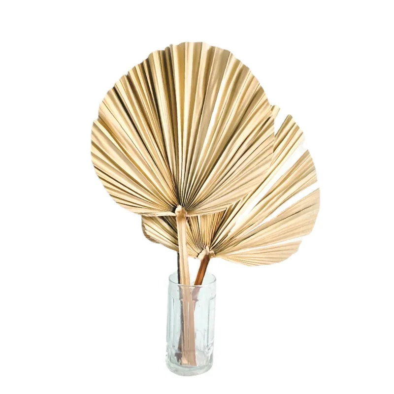 Источник производителей пальмовых листьев растительные сухие цветы ДИЙ праздничное украшение 3,19 доллара США.