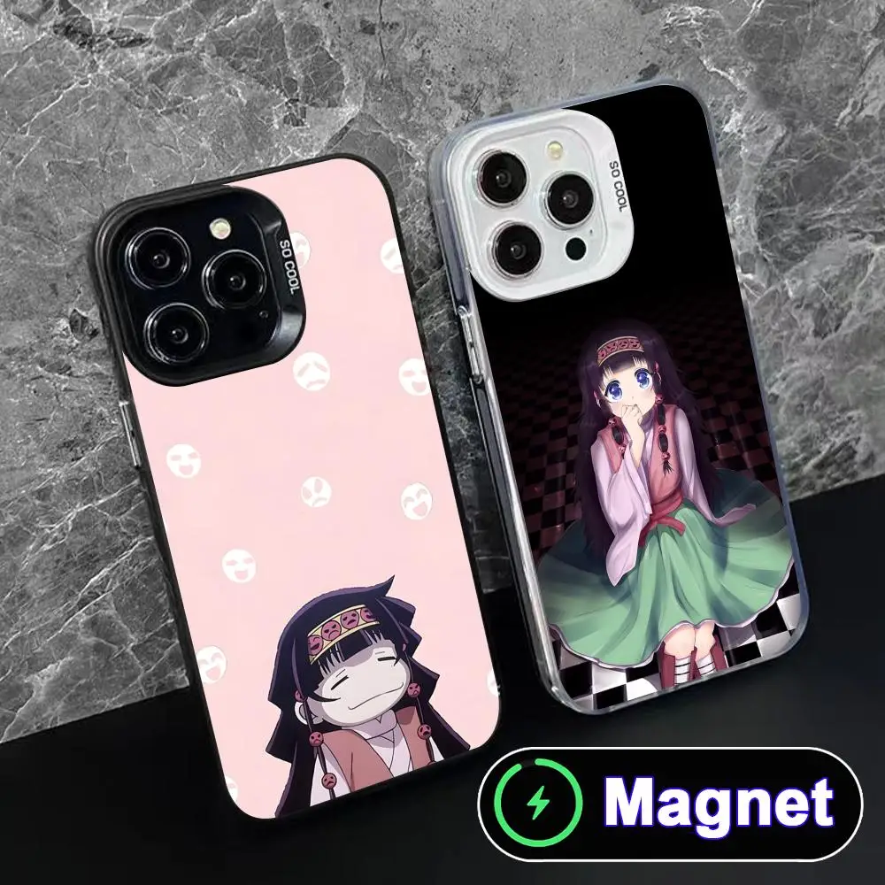 Фото Чехол Hunter Alluka для iPhone 17 16 15 14 13 12 11 Air Pro Max Plus, цветной, серебристый, с MagSafe №4
