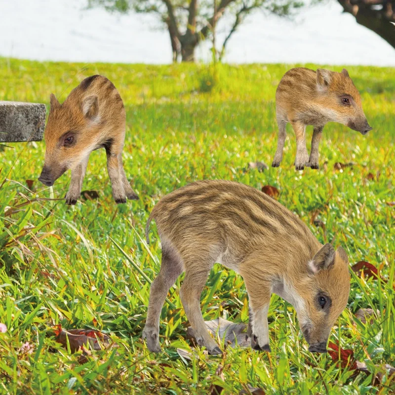 

[Wall Stickers] YKLU237-250 Three-Dimensional Simulation Color Rooster Courtyard Floor Outlet Yard Art Garden Outdoor Decoration