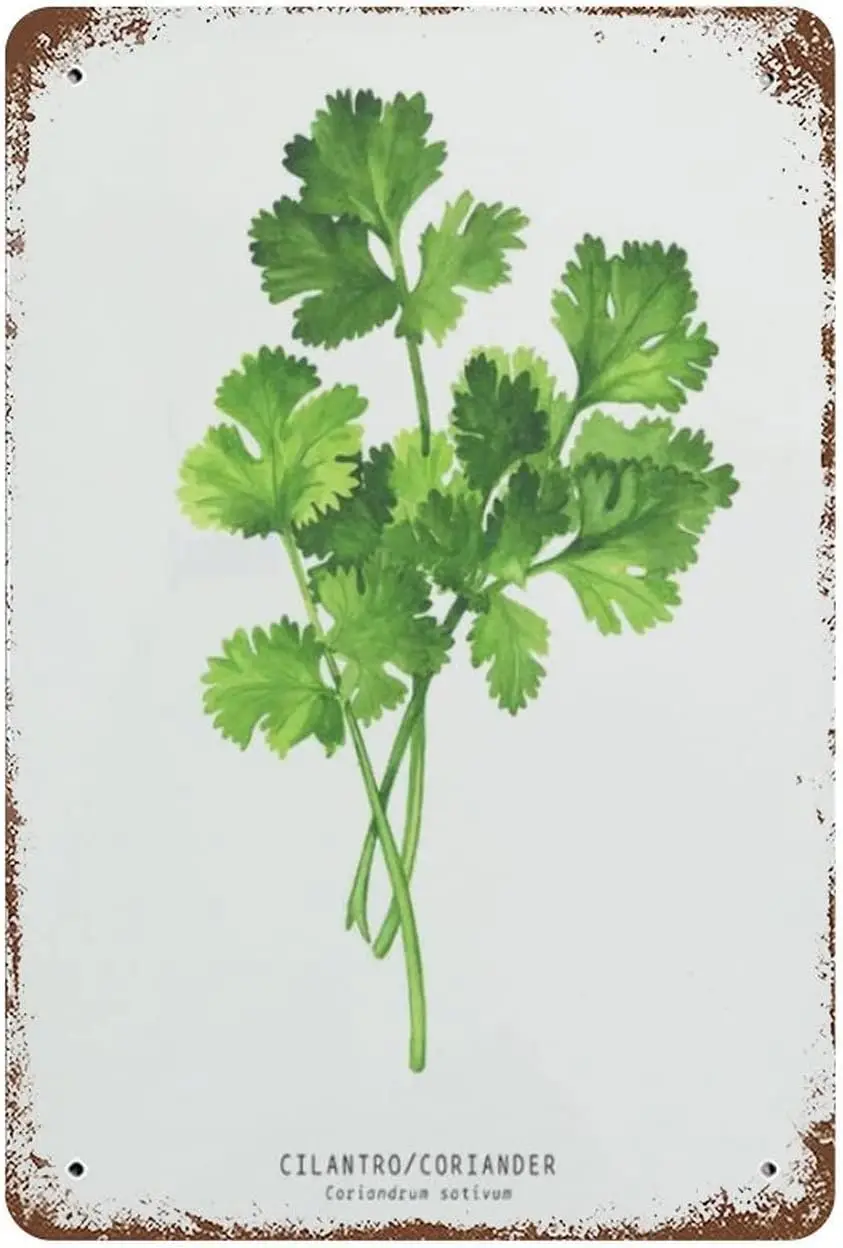 Винтажный металлический жестяной знак забавный подарок на день Святого