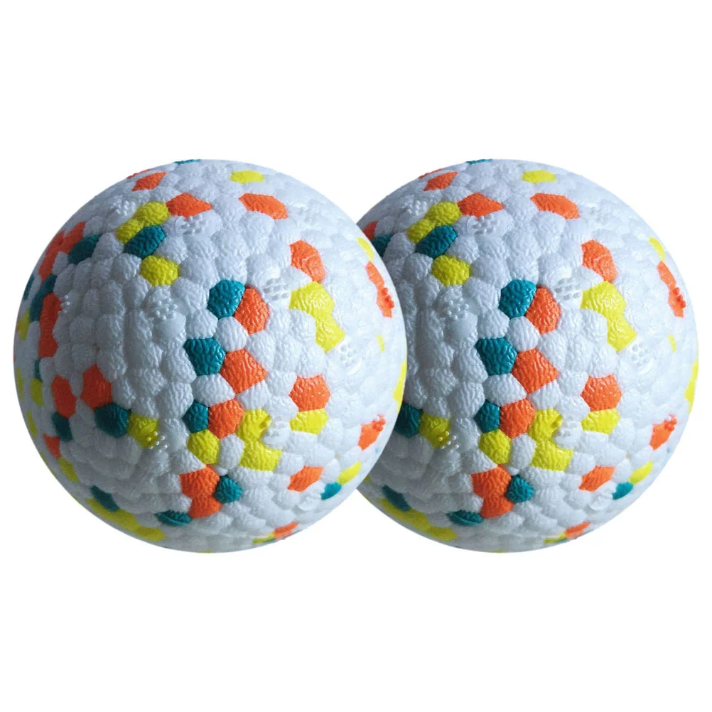 

2 Pcs Dog Toy Ball Puppy Chew Toys Lightweight Teething E-tpu Bite-resistant Interactive Balls