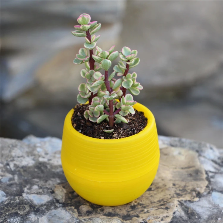 

MOONBIFFY Полипропиленовый цветочный горшок