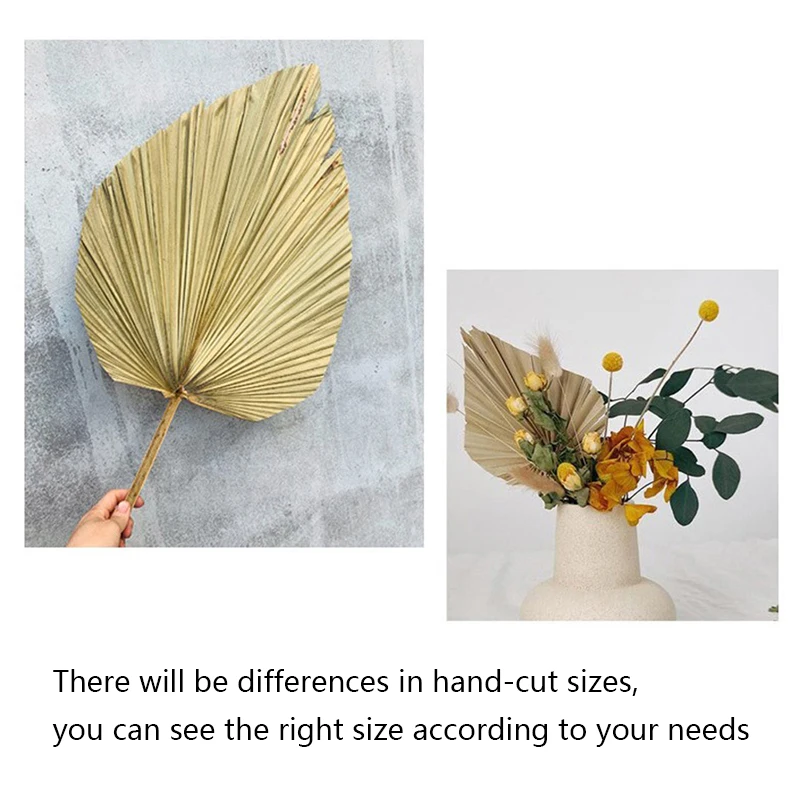

1pc fan leaf Palm Fan Leaf Dried Flower Palm Leaf Window Reception Party Art Wall Hanging Decoration Wedding Arch Arrangement