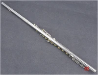 pe arl flutes pf 505rbe student silvering flute 16 open hole with offset g split e and c foot