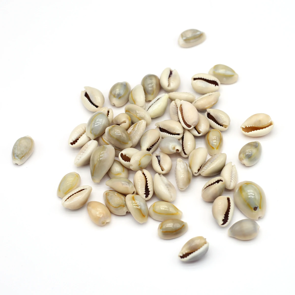 

Natural Pearl Shell Conch Shape Exquisite Scattered Beads DIY Feminine Fashion Glamour Necklace Hand Chain Jewelry Accessories