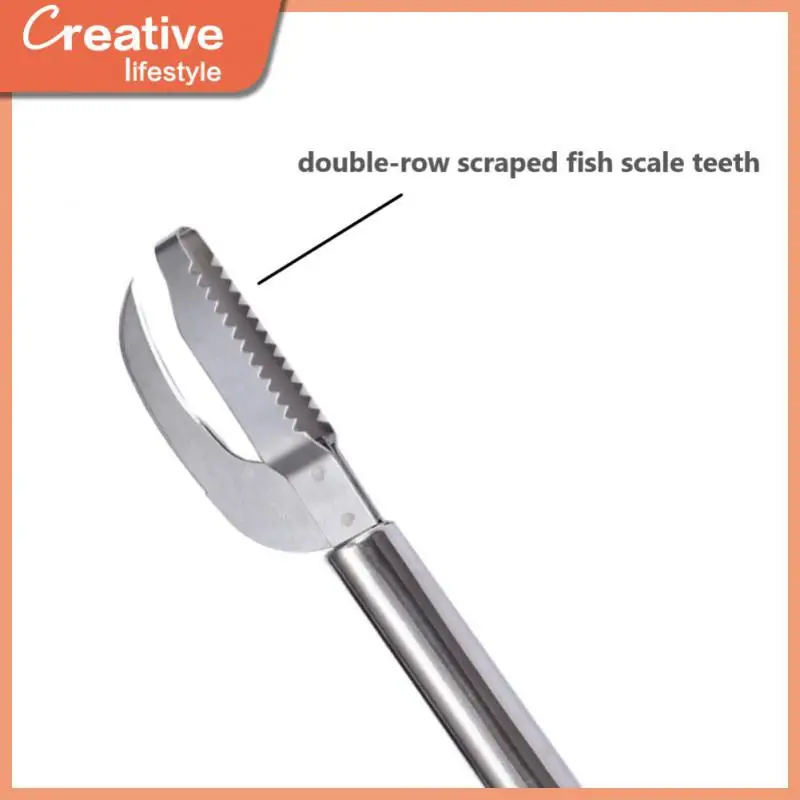

Multifunctional Scale Removing Knife Household Stainless Steel Fish Belly Knife Fish Scale Knife Scale Scraping Tool Wholesale