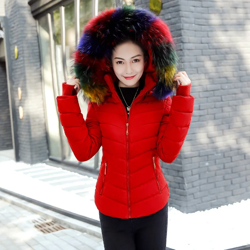 

2022 New cotton solid short puffer Jacket for women zipper down parka Women autumn clothes hooded down jacket coat