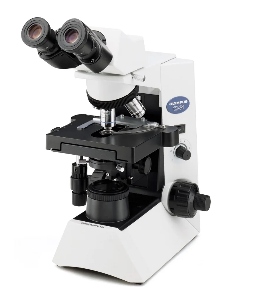 CX31 Biological Microscope