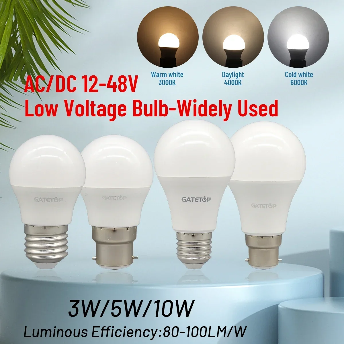 10PCS 12-48 Volt Low Voltage LED Light Bulb E27 B22 5W 10W Lighting Cold Warm White Lamp Work with Solar System Outdoor