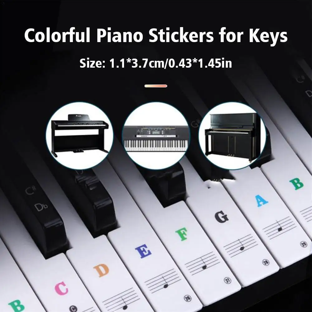 

Color Transparent Piano Keyboard Stickers Note Sticker Symbol Electronic Keyboard Key Piano Stave For White Keys 37/49/54/61/88