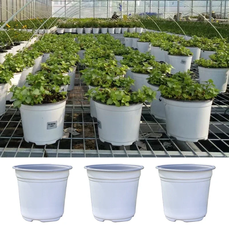 Пластиковый цветочный горшок для выращивания суккулентов 50 шт