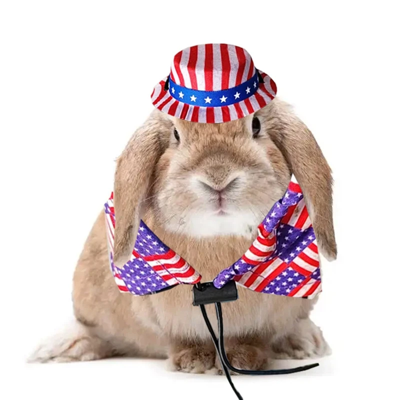 Регулируемый костюм бородатого дракона шляпа ящерицы с плащом для рептилий