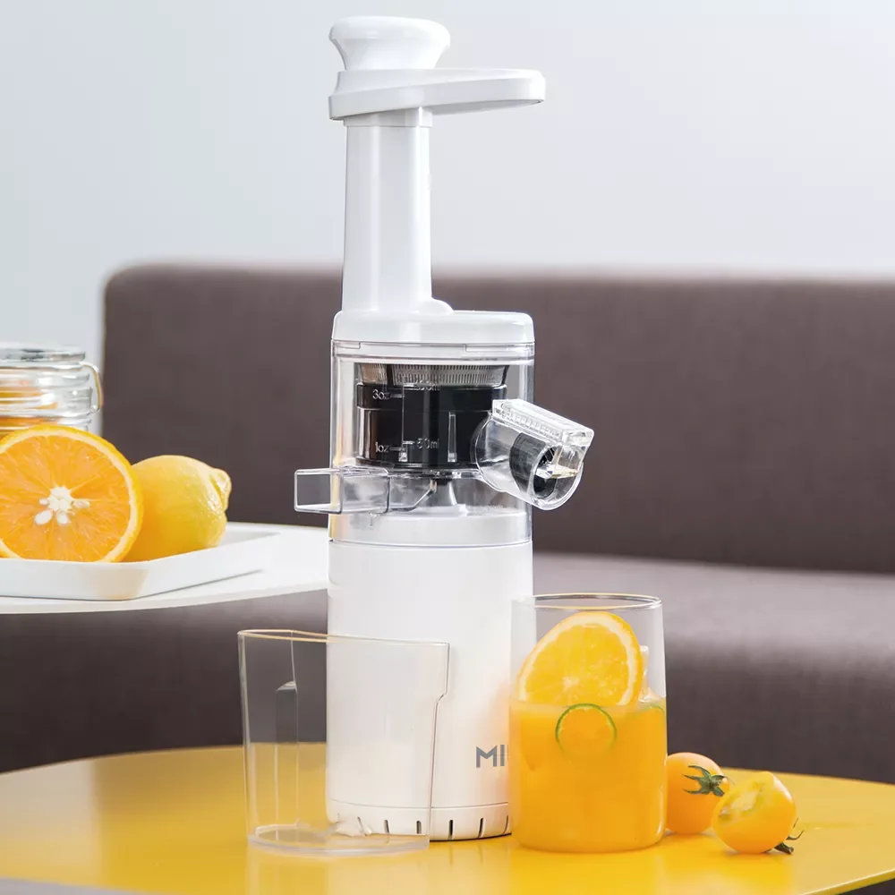 

1PC Traditional metal filter for V6 Modle Mini Juicer