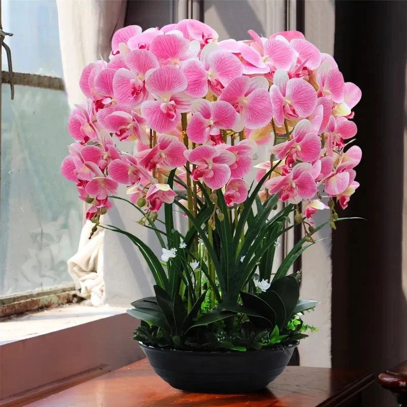 

Натуральная ароматическая бабочка, фаленопсис, цветок Amabilis, 50 шт.