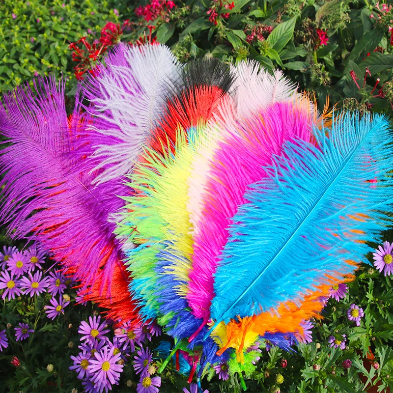 

20-25CM Ostrich Feather Color Feather Home Decoration Flower Arrangement Wedding Ostrich Feather Factory Export