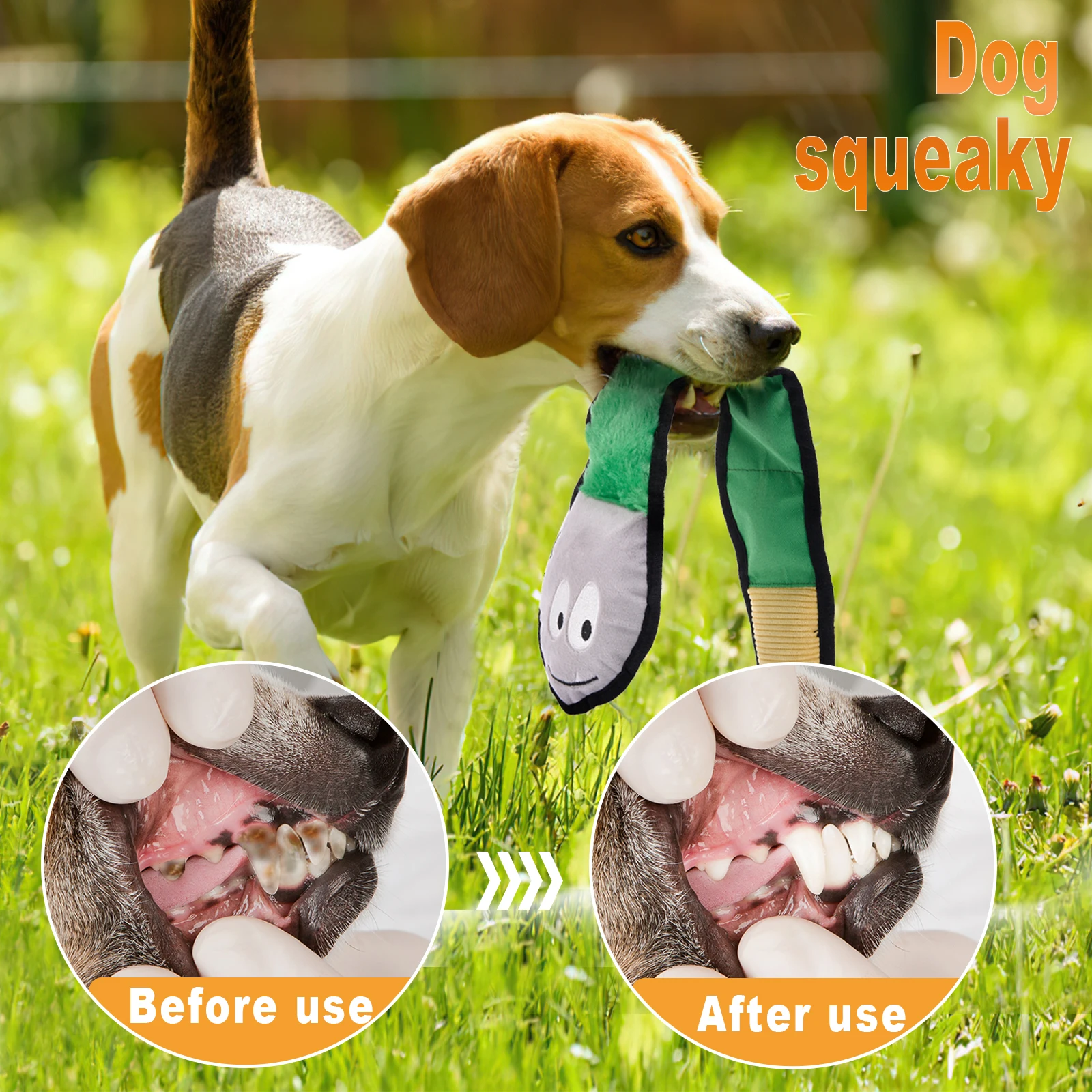 Jungle Set 3 Pack Squeaky Dog Toys Assortment Value Bundle Chew with Squeaker Durable Tough Plush Toy |