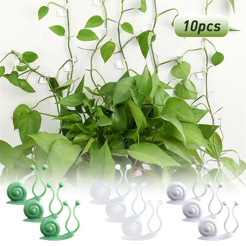 10PCS Plant Climbing Invisible Wall Fixture Clips Plant Rattan Clamp Clip Self-Adhesive Hooks Wall Vines Fixer Sticky Holder