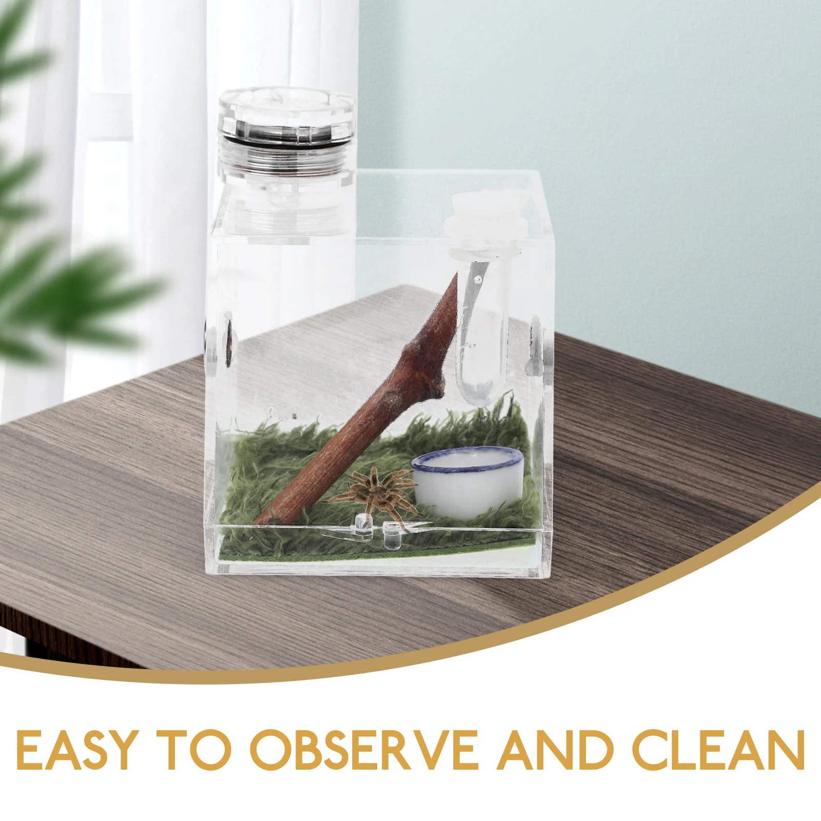 Микро среда обитания террариумы пауки прыжки ящик для разведения миниатюрный