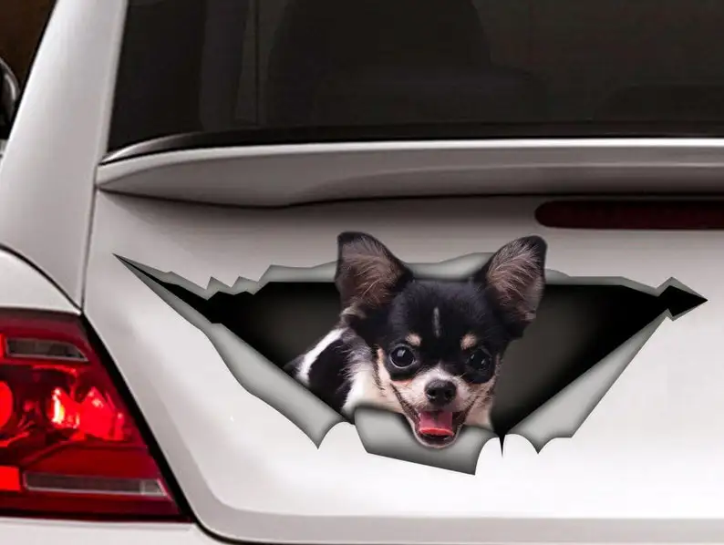 

black and white chihuahua car sticker, Vinyl decal,Pet sticker, Dog decal