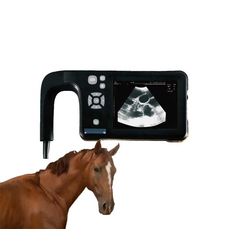 

Horses Convex Rectal Ultrasound Veterinary Sonar Portable Animal Ultrasound Machine For Veterinary Use Horse Bovine Cat