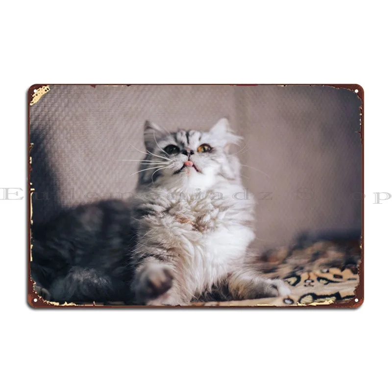 

Кошка, кошка, котенок, металлическая табличка, Фреска для гостиной, создайте Ретро жестяной знак постер